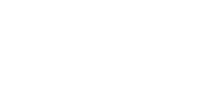 logo Česká spořitelna